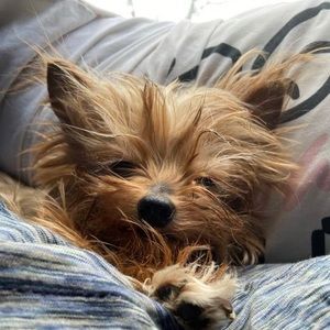 Meet your Posher, Tracey